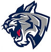 Allatoona High School Football